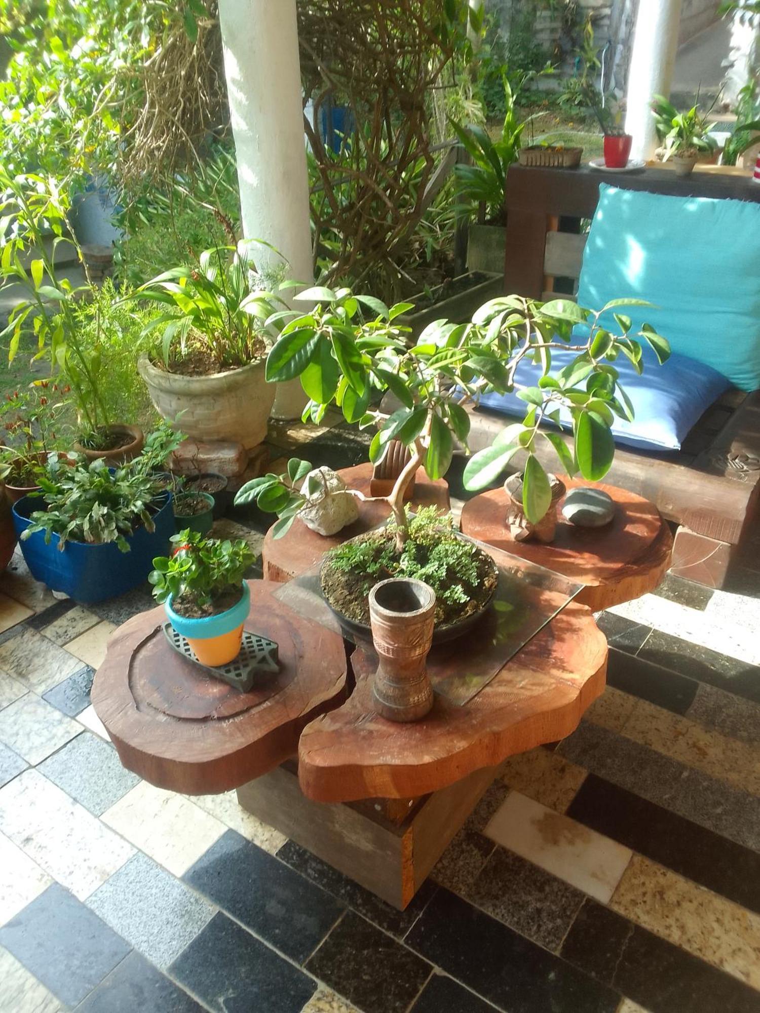 Habitación en casa particular Ninho Gaivotas *